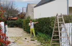 Elagueur à Redon